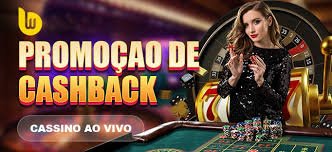 bdok com